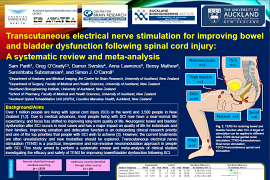 2021poster5 nerve stimulation thumbnail