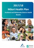 Māori Health Plan